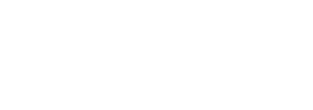 Adani